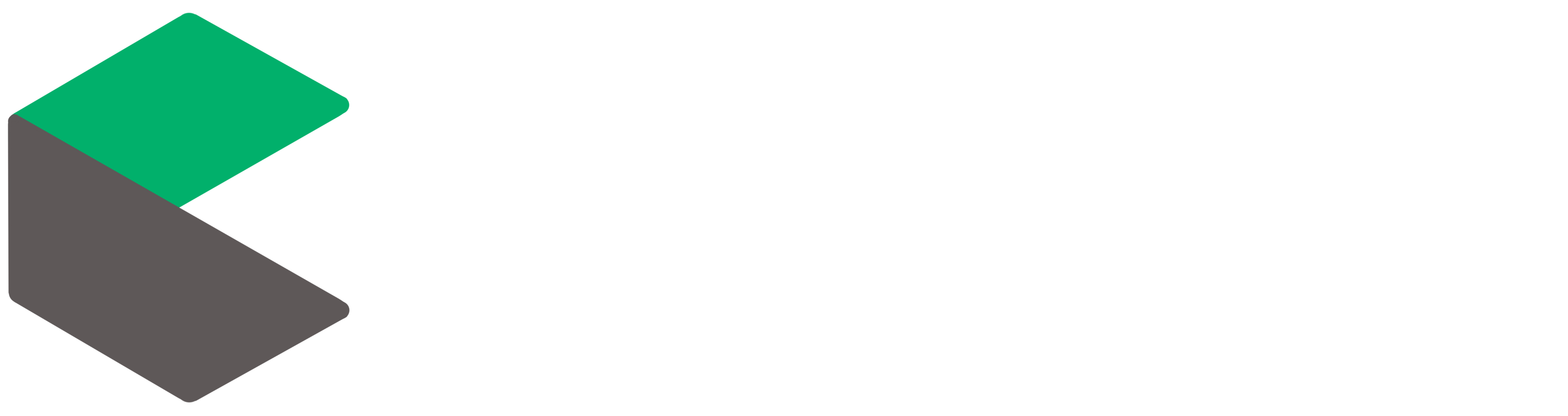 Flowbite Logo